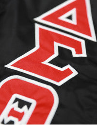 DELTA SIGMA THETA BOMBER JACKET