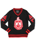 DST V-NECK SWEATER_BLACK