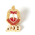 DST 3D COLOR SHIELD PIN W/LETTERS