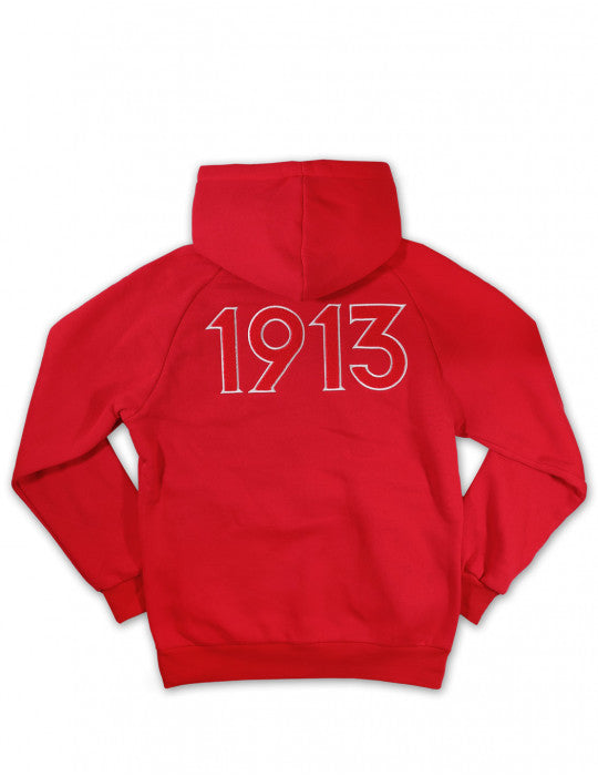 DST PULLOVER HOODIE