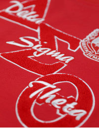 DST SWEATSHIRTS_RED