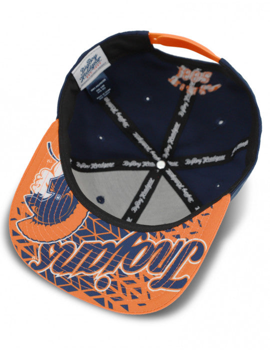 VIRGINIA STATE SNAPBACK