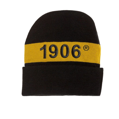 ALPHA PHI ALPHA KNIT BEANIE